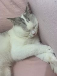 -Hello Beauty美甲美睫皮肤管理中心