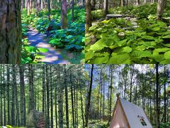 -洛阳白云山景区