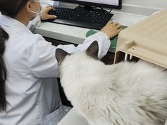 -心仪动物医院·牙专科·肿瘤·心脏科(西客站院)