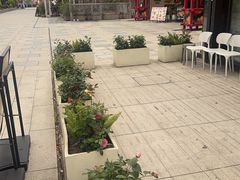 -春田小幸铁板烧(忠义街店)