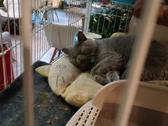 -小时光咖啡馆(北锣鼓巷店)