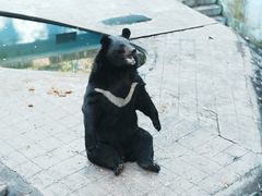 -攀枝花公园