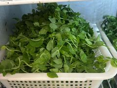 -金鼎雪山牦牛杂火锅(理县总店)