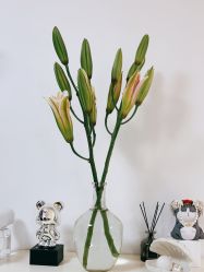 -美肤盾祛痘·问题肌头疗管理中心