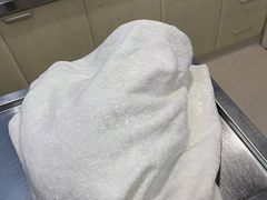 -哆趣宠物医院·眼科·内镜·急重症转诊中心(上海店)
