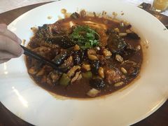 -Local泰莲庭(虹鳟鱼店)