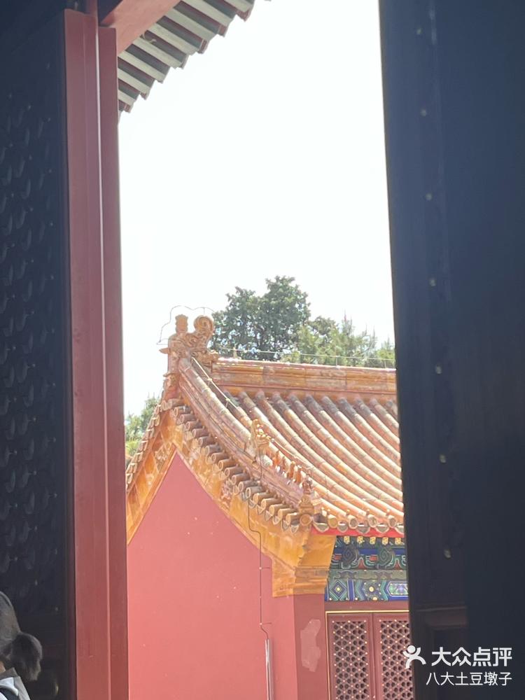 景山公园的牡丹花节