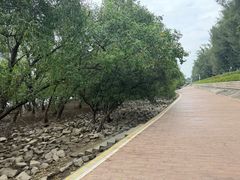 -宝安西湾红树林湿地公园