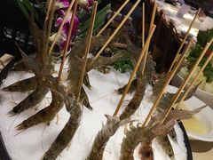 -蜀九香火锅(彩虹店)