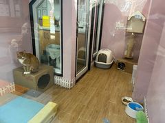 -联合动物医院(光谷诊疗中心)