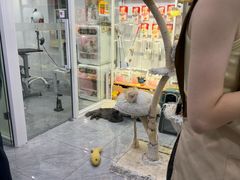 -爱洗澡的猫(天河路店)