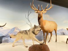 -陕西自然博物馆