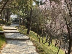 -团结湖公园