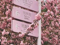 -杭州Hello Kitty乐园
