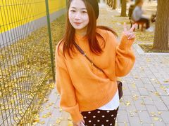 -三里屯东五街银杏大道