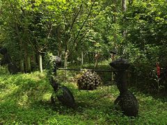-天目湖山水园