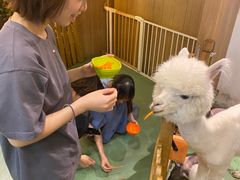-藦茜花园宠物主题亲子互动体验馆(国顺东路店)