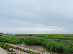 -南汇嘴观海公园