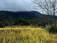 -塔川景区