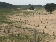 -塞罕坝国家级自然保护区