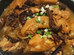 -食家鸽园