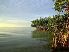 -北海金海湾红树林生态旅游区
