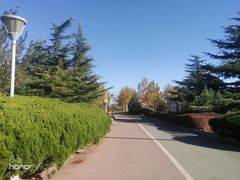 -滨河世纪广场公园