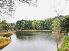 -千岛湖龙川湾