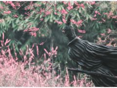 -成都杜甫草堂博物馆