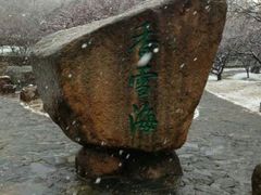 -香雪海