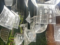-新紫霞养生·影院足道·SPA(金山区店)