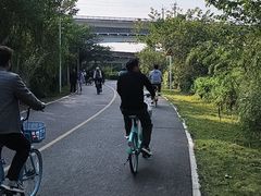 -白鹭湾湿地公园