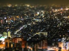 -东京都厅舍