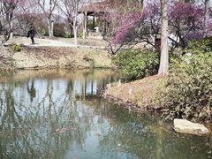-无锡梅园公园
