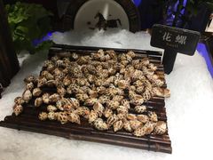 -加餐海鲜自助(宝龙一城店)