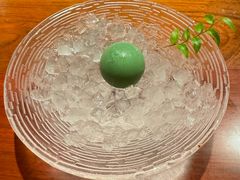 -龙吟山房(青龙山庄店)