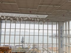 -朵云书院(滴水湖店)