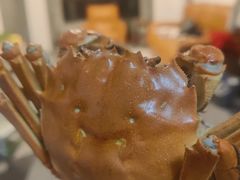 -七的湖·晚芳亭·阳澄湖农家菜·大闸蟹(莲花岛店)