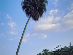 -三亚南山文化旅游区