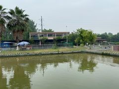 -两河城市森林公园