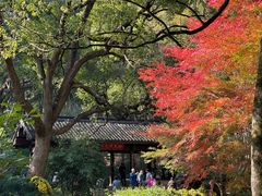 -杭州植物园