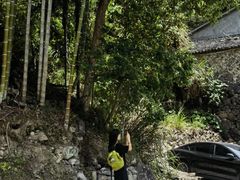 -MOJ coffee(瓯海泽雅水碓坑店)