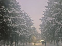 -东北大学(南湖校区)