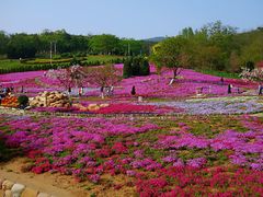 -棒棰岛宾馆景区