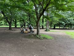 -井之头恩赐公园