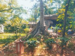 -金穗园温泉酒店