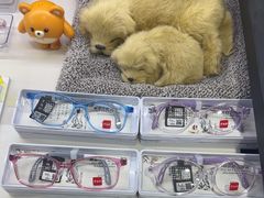 -罗伯特眼镜·蔡司官方授权(罗湖国贸店)