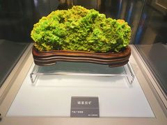 -安徽省地质博物馆