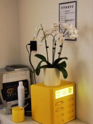 -海涛医疗美容·面部抗衰·注射美鼻