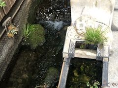 -泉乐坊步行街(烟酒特产平价超市店)